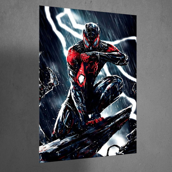 Metal Poster - Superhero Spiderman SM11