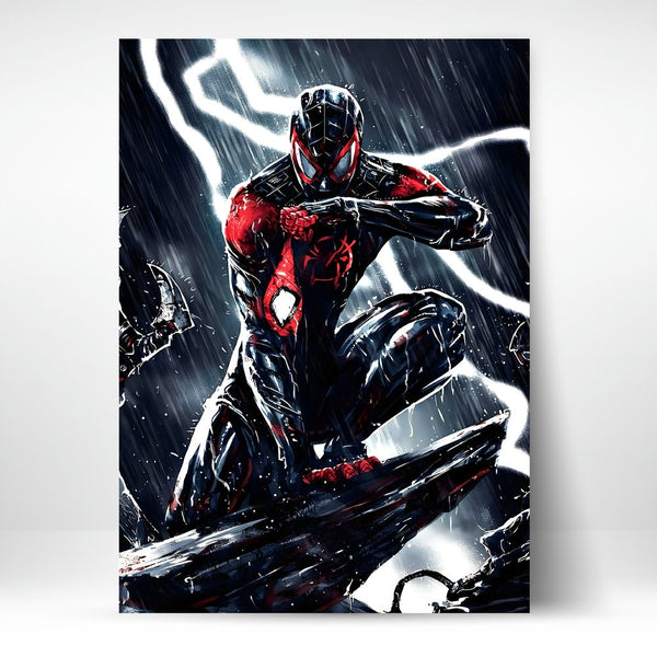 Metal Poster - Superhero Spiderman SM11